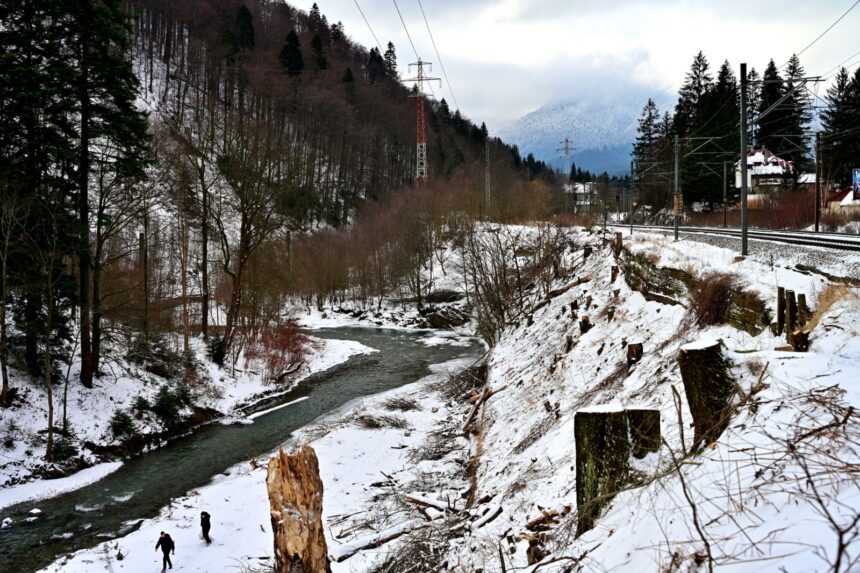 centura azuga busteni se cere o expertiza tehnica pentru continuarea proiectului dupa surprizele din teren din urma defrisarilor 69679e844f6b4