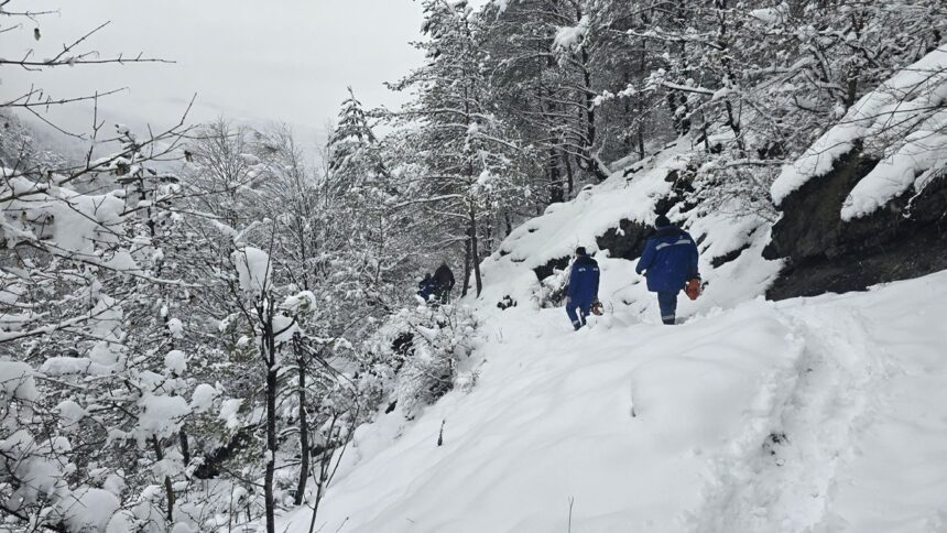 DEER a încheiat lucrările de reparare a defectelor din rețelele electrice ale Munților Apuseni 1 deer a finalizat interventia pentru remedierea avariilor la retelele electrice din muntii apuseni 696133218f547