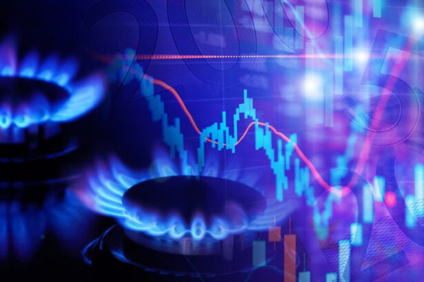 exclusiv nicusor dan despre pretul energiei si carburantilor chiar daca o tara are resurse exista piata libera 697c3c44b18bc