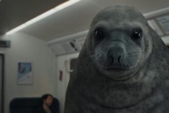 fca launches pop up atm to warn customers of investment scams 697b46da992fe