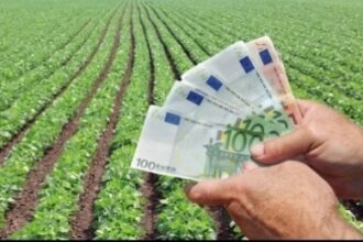 fonduri europene de aproape 501 milioane de euro pentru investitii in agricultura si procesare in ianuarie si februarie 695a840df3be0