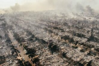 incendiile si furtunile au provocat companiilor de asigurari pierderi estimate la 108 miliarde de dolari in 2025 munich re 6966042cc8d04