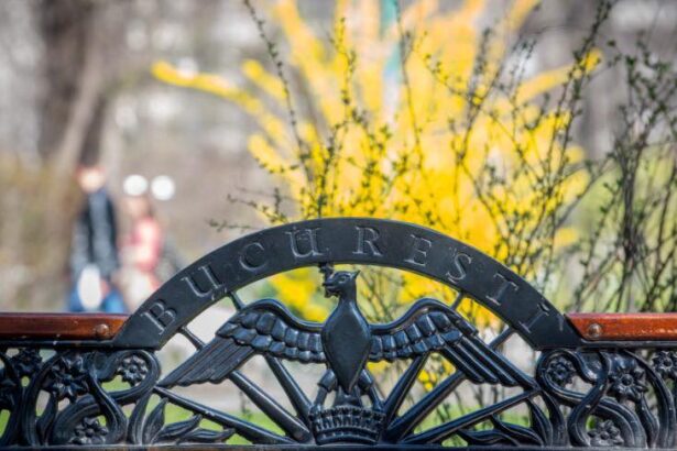 proiectul privind taxe si impozite locale marite supus dezbaterii publice pe site ul pmb 6963a6700cf86