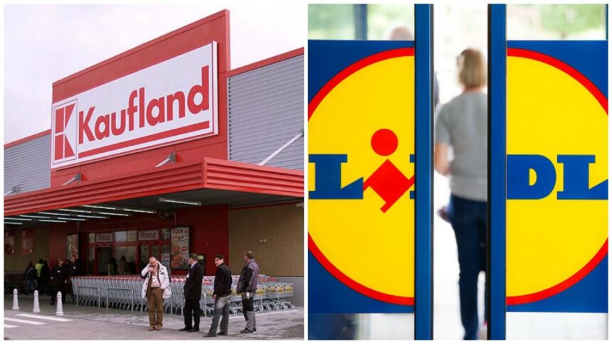 Schwarz, conglomeratul german din spatele Lidl și Kaufland, revine cu forțe proaspete în România, investind 37,5 milioane de euro în susținerea filialelor sale 1 schwarz grupul german care detine lidl si kaufland a reinceput sa aduca bani in romania si a sustinut filialele cu 375 milioane de euro aport la capital 697134e8b94fd