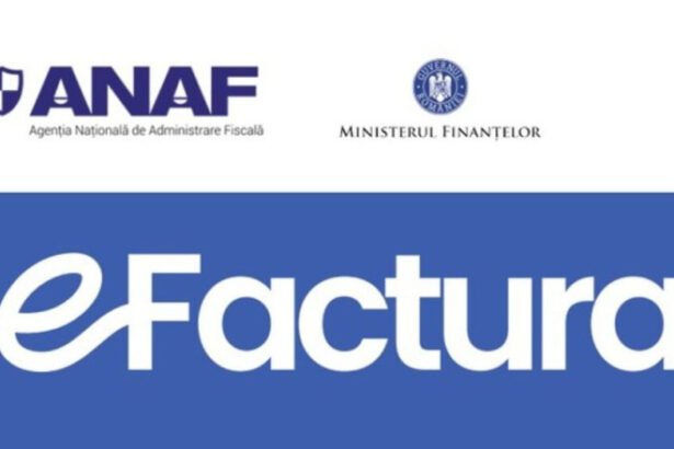 termen de tranzitie pentru ro e factura pana la 1 iunie pentru persoanele fizice impozabile anunta guvernul 697c9d27d1951