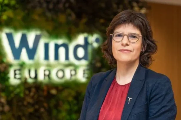 tinne van der straeten este noul ceo al windeurope 6966c1c0b0541