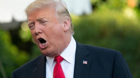 World Liberty Financial, asociată cu Trump, solicită obținerea unei licențe bancare 1 trump linked world liberty financial applies for bank charter 695fb5da112ab