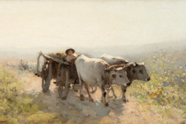 video anaf scoate la licitatie o parte din tablourile ascunse de valcov in pereti la cat se ridica prejudiciul din dosar 696b18ec3c5ae