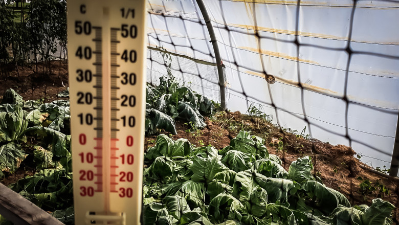 Fermierii în criză: gerul din România le dublează cheltuielile pentru încălzirea solariilor 1 video lovitura primita de agricultori odata cu gerul care s a abatut peste romania costuri duble pentru incalzirea solariilor 696725c5dd00e