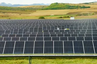 vienna energy acorda un contract epc de 25 mil euro pentru un parc fotovoltaic de 45 mwp 69778f98d6196