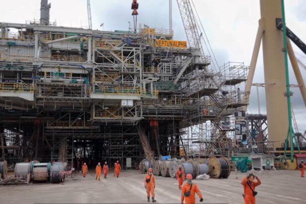 anuntul gigantului omv petrom despre preturile la energie liberalizare si gazele din marea neagra 699c2fd24966f