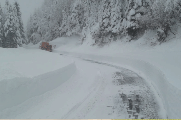 autostrada nordului a14 a fost lansata licitatia pentru centura gura humorului in sistem half profile 6993393e45c56