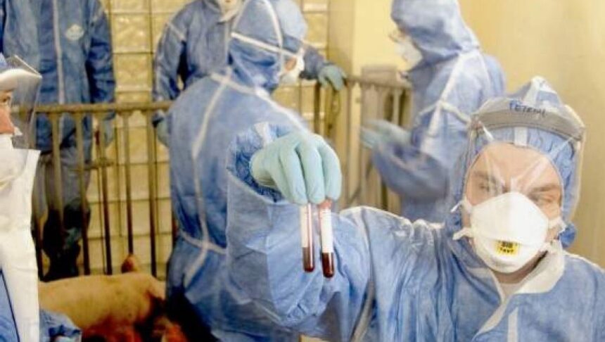 cat ne a costat pesta porcina in 2025 jumatate din bani au ajuns la comtim grup controlat de gigantul chinez wh group 699cb7dd54baf