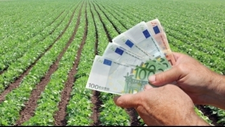 Fermierii în competiție pentru 151 de milioane de euro: cererile de finanțare depășesc cu 240% bugetul alocat pentru investiții în legume și cartofi 1 cereri de finantare de 240 din alocarea disponibila fermierii se bat pentru 151 de milioane de euro pentru a face investitii in legume si cartofi 6981ac52e9c0e