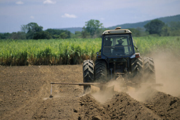 cooperativele agricole romanesti analizeaza modelul german de organizare si marketing 698a11b6c916d