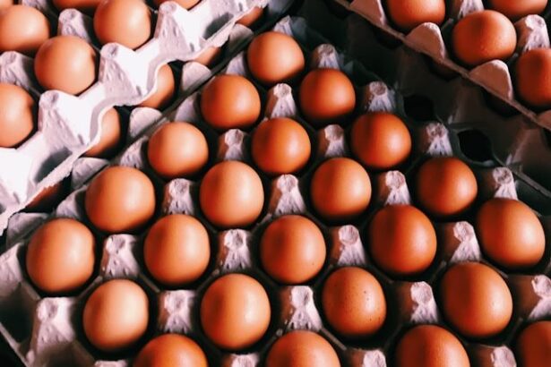 cu cat creste pretul oualor de la poarta fermei romanesti la piata europa traverseaza un nou val de scumpiri 699b61b10addd