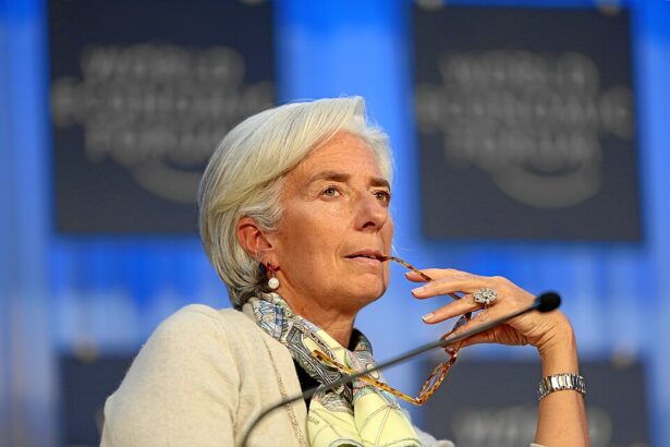 guvernele europene se grabesc sa i gaseasca un inlocuitor lui lagarde in fruntea bce pentru a evita ca in selectie sa fie implicat un presedinte francez de extrema drapta bloomberg 69934fe994f30