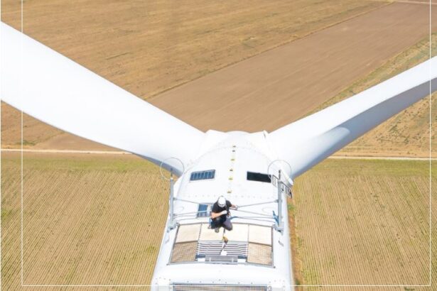 ingka ikea a finantat parcul fotovoltaic butimanu cu 83 de milioane euro parcul de 300 mwp va fi gata in aprilie 2027 6988e34ef2a6a