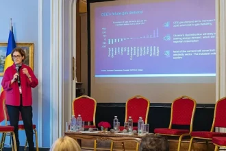 romania nu are curajul sa si joace rolul regional pe piata energiei 699588cc6fc1c