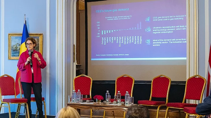 România ezită să-și asume un rol de lider pe piața energetică regională 1 romania nu are curajul sa si joace rolul regional pe piata energiei 699588cc6fc1c