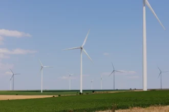 se poate si asa energia este gratuita in aceasta dupa amiaza pe piata spot de la bucuresti 69918eda22cad