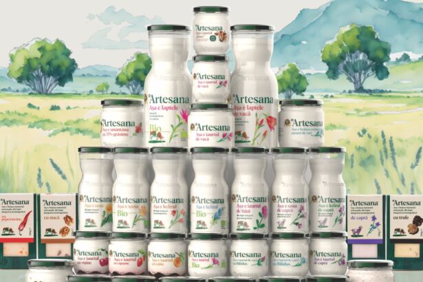 alina donici artesana exportam deja in 12 state din europa 69b80e1fece73