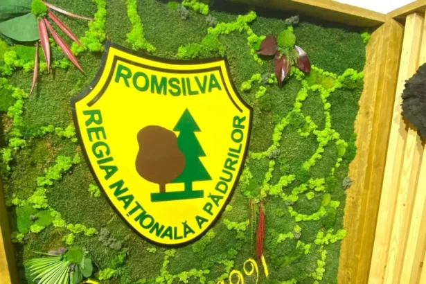 cei mai mari angajatori din silvicultura si exploatarea padurilor romsilva conduce clasamanetul 69afda2d08f3c