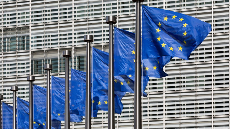 exclusiv ce masuri ar putea lua comisia europeana in criza carburantilor roxana minzatu vicepresedinte ce lucram cu scenariul pesimist 69cabd448d732