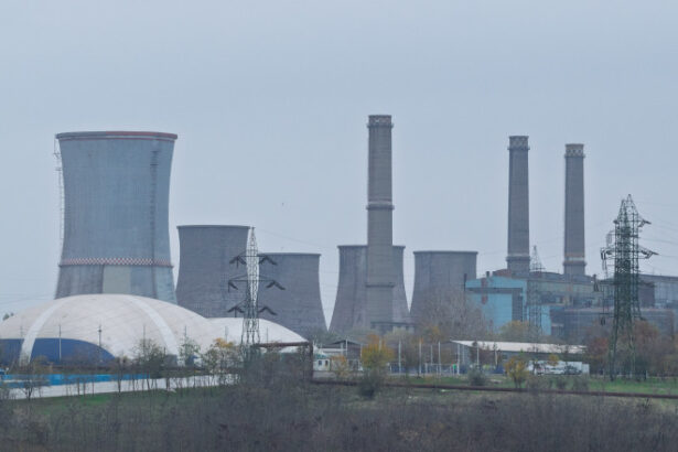 liberty galati romaero si damen mangalia desemnate companii de interes strategic cand isi vor primi angajatii salariile restante 69cc07acdba44