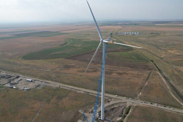nou parc eolian in romania israelienii de la shikun binui urmeaza sa ia autorizatia pentru o centrala eoliana de 111 mw 69c8cf60204bc