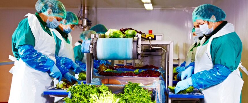 Salata care aduce peste 120 de milioane de lei: Eisberg, lider pe piața salatelor gata de consum, își extinde succesul în 2025 1 peste 120 de milioane de lei din salata eisberg liderul pietei de salate gata de consum creste si in 2025 69b96228459b6