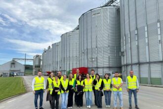 porcul romanesc devine tot mai mic pe piata tara noastra importa 80 din necesarul de carne de porc studiu 69aefb806f185