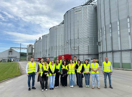 porcul romanesc devine tot mai mic pe piata tara noastra importa 80 din necesarul de carne de porc studiu 69aefb806f185